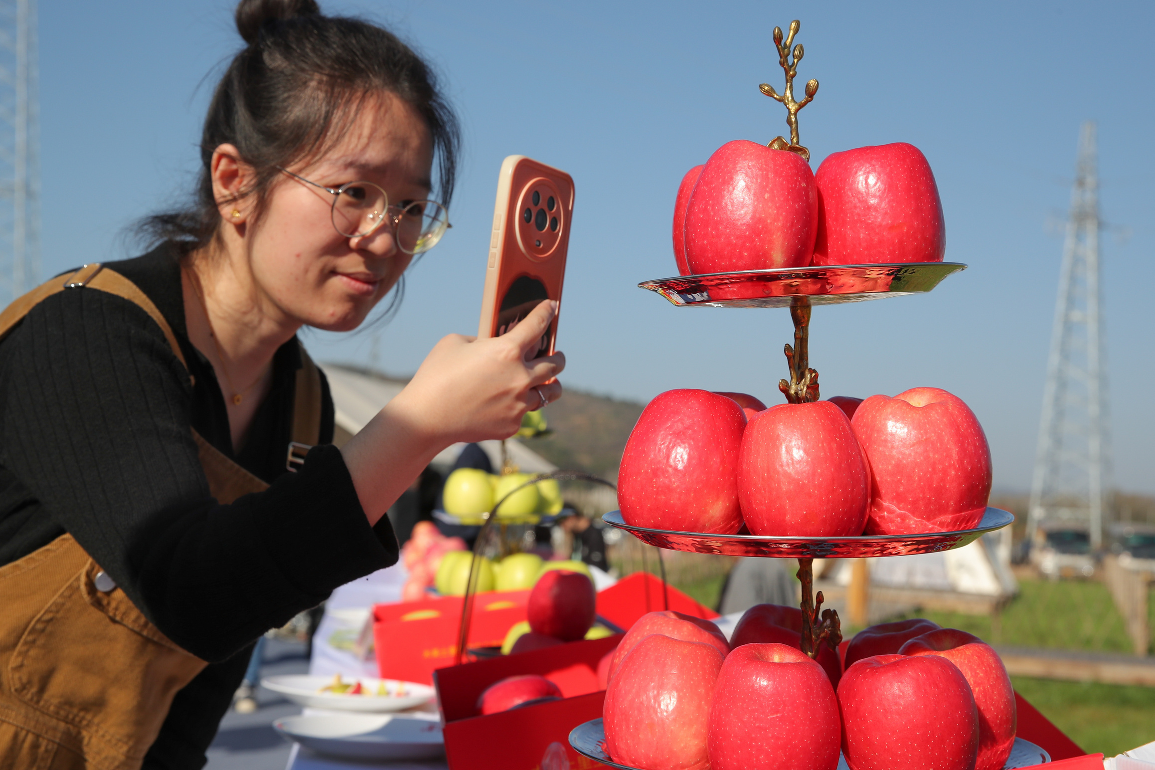 国产品种 洛宁苹果跑赢市场-我们