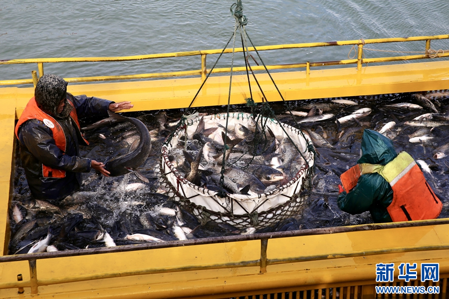 河南嵩县：陆浑湖冬捕开渔活动启动