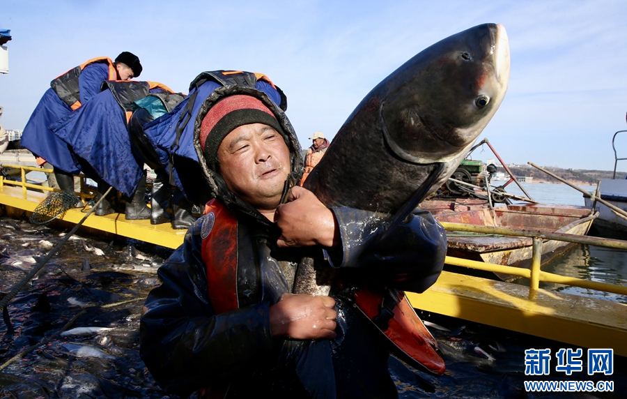 河南嵩县：陆浑湖冬捕开渔活动启动