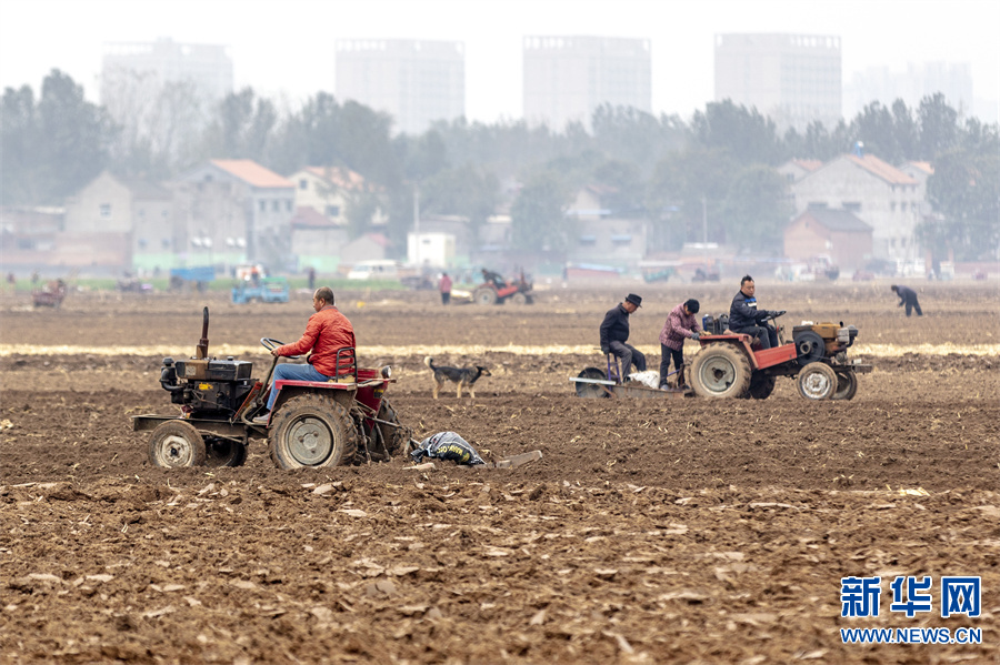 安阳滑县：整理土地 准备播种冬小麦