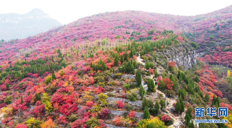 洛阳偃师香炉峰顶一片红