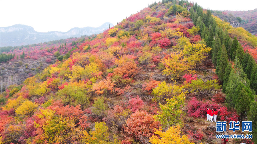 洛阳偃师：香炉峰顶一片红