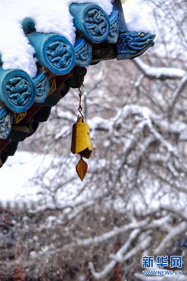 雪天的郑州城隍庙 美轮美奂 颇有诗意