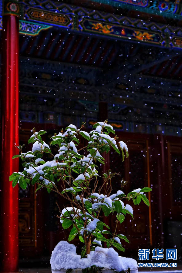 雪天的郑州城隍庙 美轮美奂 颇有诗意