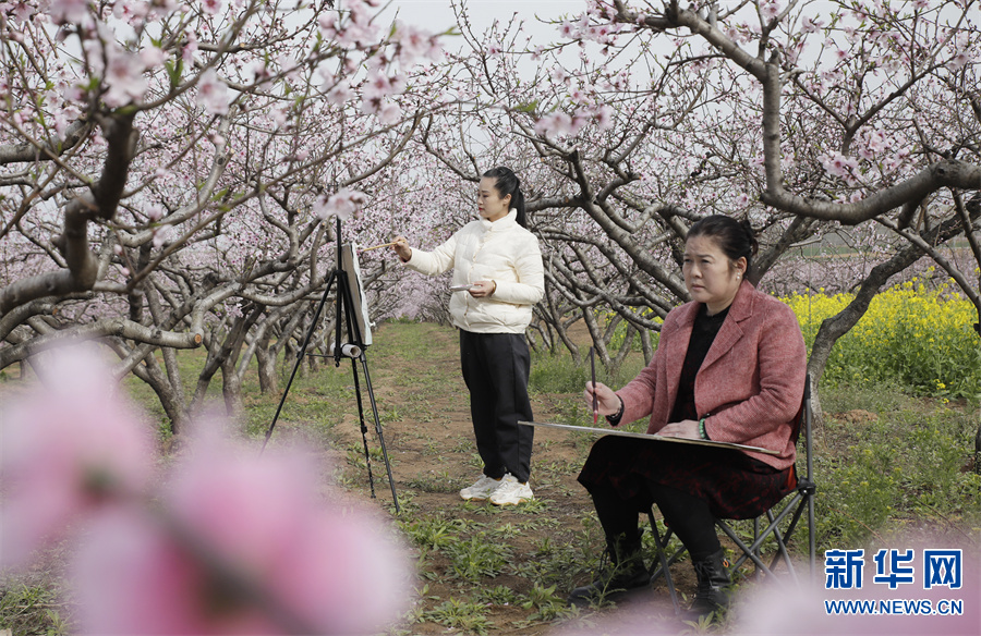 开封市尉氏县打造乡村文化旅游发展模式