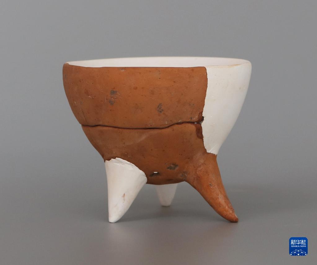 河南考古新发现：8000年前的裴李岗人已用红曲霉酿酒