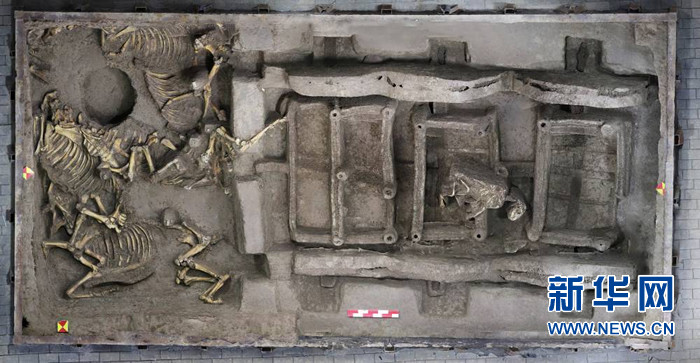 2600多年前戎人王级大墓陪葬车马坑全貌显现
