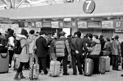 郑州航空港人才引进计划逐步铺开 梧桐新巢凤争栖