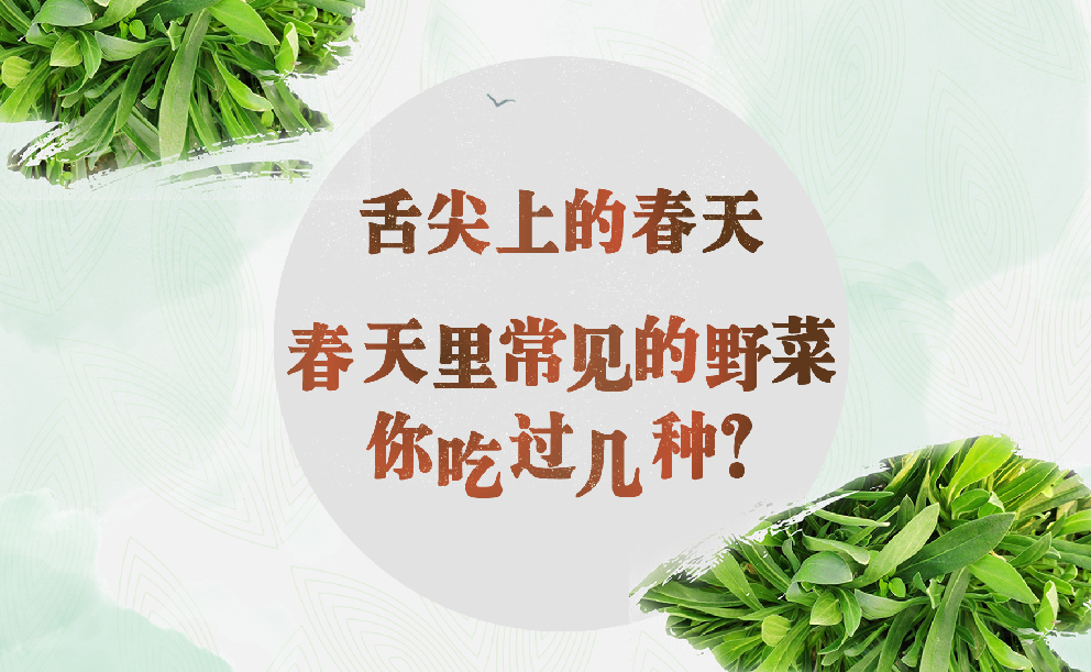 春天里，这些野菜你吃过几种？