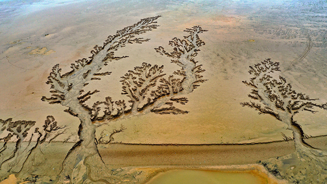 震撼！黄河滩上的巨幅“浮雕版画”