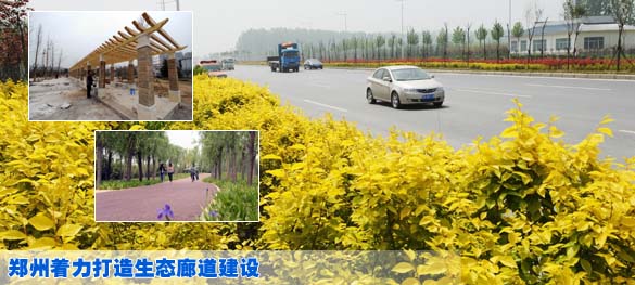 郑州着力打造生态廊道建设