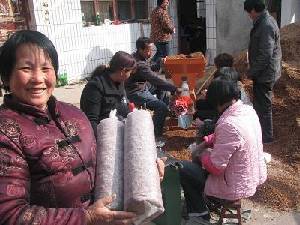 卢氏县10000个生产“互助组”传出家风正能量